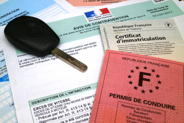 Replace lost European drivers license